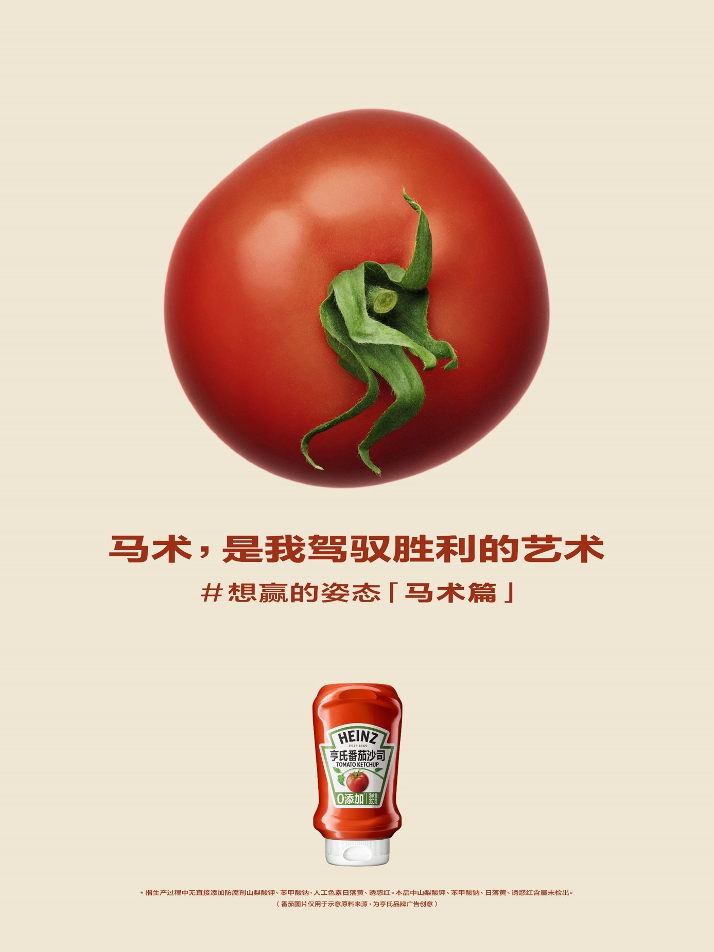 马术 马术