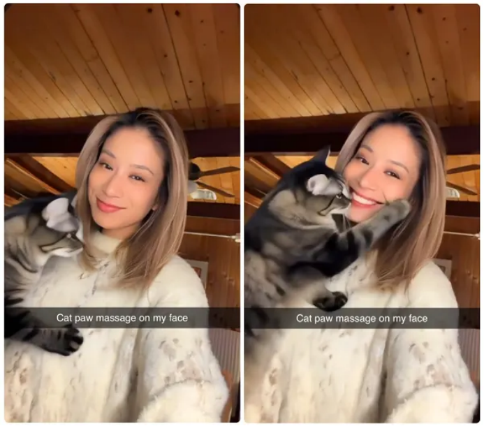Snapchat 推出定制 AI 镜头功能297 Snapchat 推出定制 AI 镜头功能297